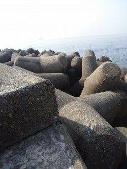 高砂港での穴釣り釣果、〜20cmまでのガシラ