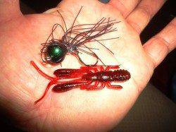 極寒チヌゲーム、アタリ3回1匹ゲット