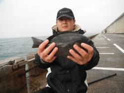 北港釣り公園　カゴ釣りでグレの釣果