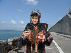 休日の魚つり公園、お子様がガシラをキャッチ