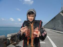 休日の魚つり公園、お子様がガシラをキャッチ…