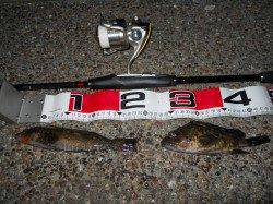 貝塚人工島へエビ撒き釣りに行ってきました