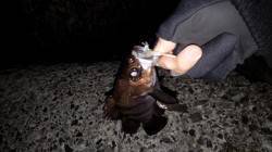 垂水漁港、先週と先々週よりもメバルの活性が…