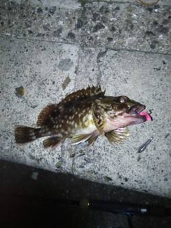 寒さの中ガシリング、ダウンショットとキャロ…