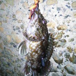 モトキ様より【ジャングルジム製品】のモニターレポート