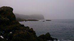 串本大島・樫野の地磯にてフカセ釣り　グレ38cm&30cm