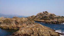 那智勝浦で渡船を利用しての磯グレ狙い