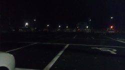 佐野漁港 メバリングでフォール中にタケノコメバル☆