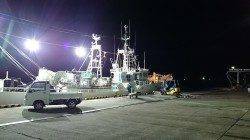 柴山港アジングタックルで、ガシラGET!