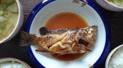 アジ狙いでしたがメバルとガシラで楽しい時間に！