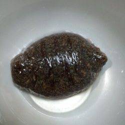 ボトムワインドでメバル狙い、アタリは子ガシラばかり