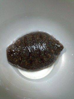 ボトムワインドでメバル狙い、アタリは子ガシラばかり