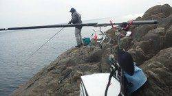 三尾の地磯にてカンダイ狙い、３回切られました