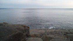 厳しい状況の中アイゴがきてくれました