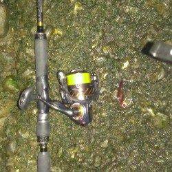 橋脚付近で待望のヒット！ 紀ノ川河口シーバス