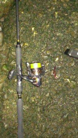 橋脚付近で待望のヒット！ 紀ノ川河口シーバス