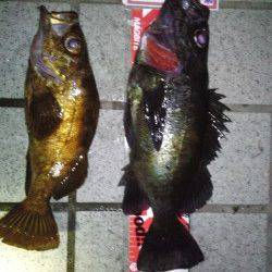 淡路島のメバリングトーナメントで優勝しました！