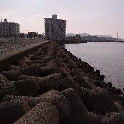 淡輪漁港などテトラを探り歩いてアイナメ・ソイ・ガシラ