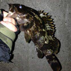 舞洲、寒さ忘れてガシリング2時間楽しめました