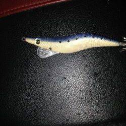 追わせて食わす超スローダートでヤリイカ5ハイ！