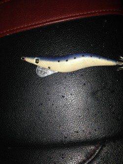 追わせて食わす超スローダートでヤリイカ5ハイ！