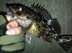 JH底ベタ時折シェイクでデットスローがヒットパターン