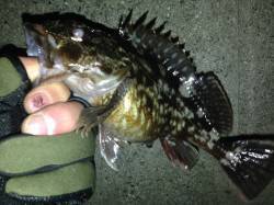 JH底ベタ時折シェイクでデットスローがヒッ…