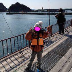 雑賀崎の親子釣りパークでファミリーサビキ