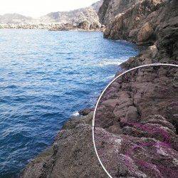 香住の地磯釣行でアイナメ37cm！