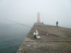 本荘人工島でのキス釣り　22cmを頭に10匹