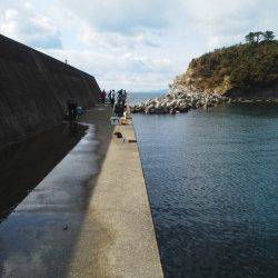 田ノ浦漁港でのサビキ釣り、周りではクーラー一杯の方も