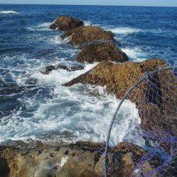 周参見で磯グレ、水温低下で食い渋かったです