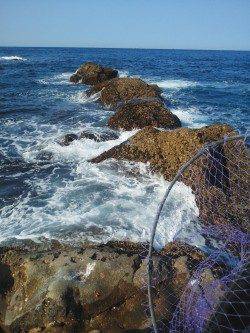 周参見で磯グレ、水温低下で食い渋かったです