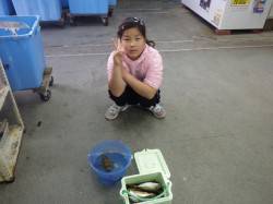 いっぱいつれたよ！ お子様のアジ・ガシラ釣…