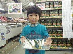 みなべ堺漁港はお子様ニッコニコ☆サビキ釣り好調！