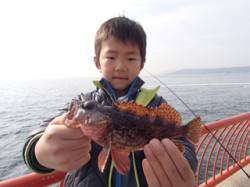 平磯海づり公園、釣り少年が胴突きでガシラＧ…