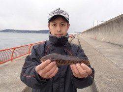 落し込みでアイナメの釣果〜平磯海づり公園〜