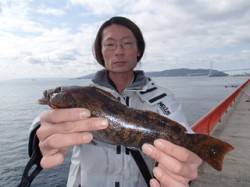 【9日】平磯海づり公園、投げ釣りでアイナメ…