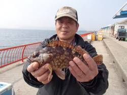 平磯海づり公園 落とし込みでナイスサイズの…