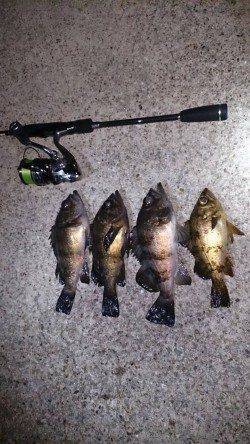 垂水でメバリング、アフターから少しずつ回復？