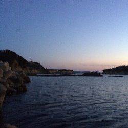 雑賀崎でエギング、一時間でコウイカ4ハイゲット！