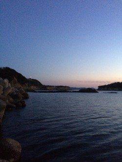 雑賀崎でエギング、一時間でコウイカ4ハイゲット！