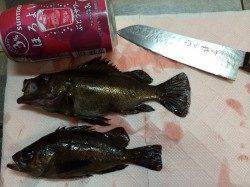 中島埠頭でメバリング、楽しいライトゲームでした