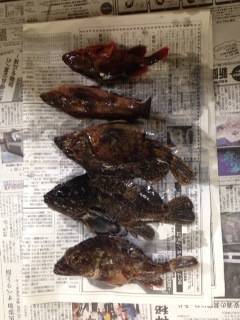 テトラの中を丹念に探り爆釣〜淡路島でロック…