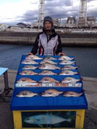 マリーナシティ海洋釣り堀でマダイ大漁です♪…