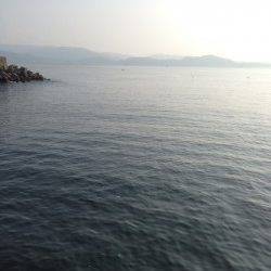 雑賀崎　雨上がりのエギング釣行でコウイカがヒット