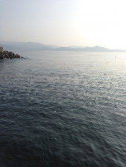 雑賀崎　雨上がりのエギング釣行でコウイカがヒット