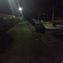 三尾川漁港メバル狙いで攻めるも・・・・