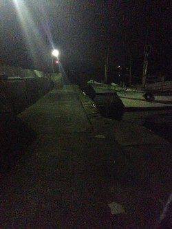 三尾川漁港メバル狙いで攻めるも・・・・