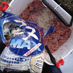 谷川漁港、風・波が強い中でのフカセチヌ釣り